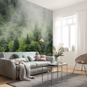 Forest Land