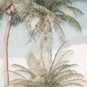 Palm Oasis