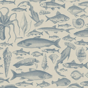 Sea Study