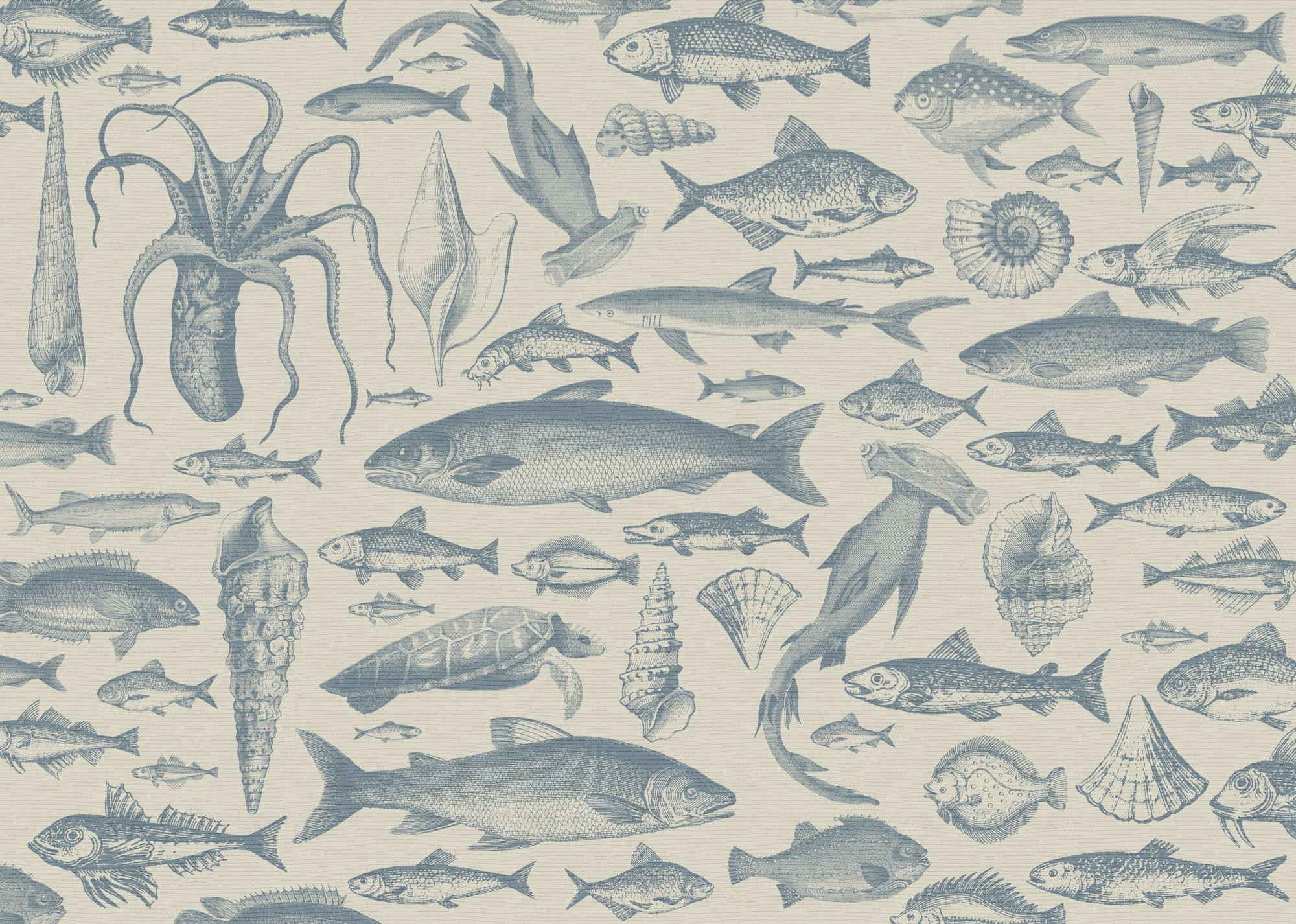 Sea Study