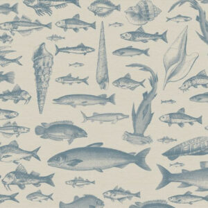 Sea Study