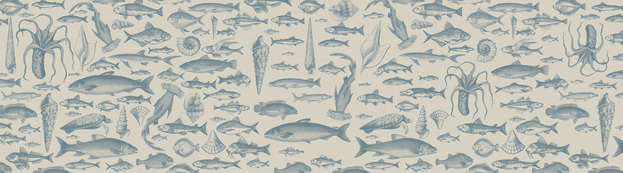 Sea Study
