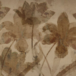 Petal Whispers