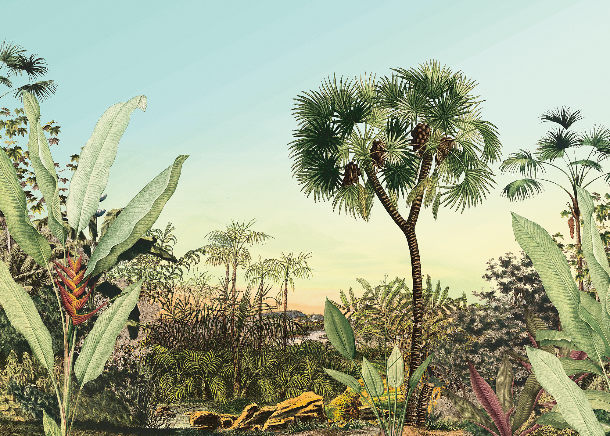 Oasis