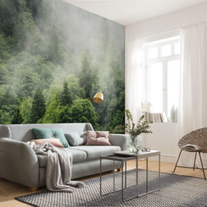 Forest Land
