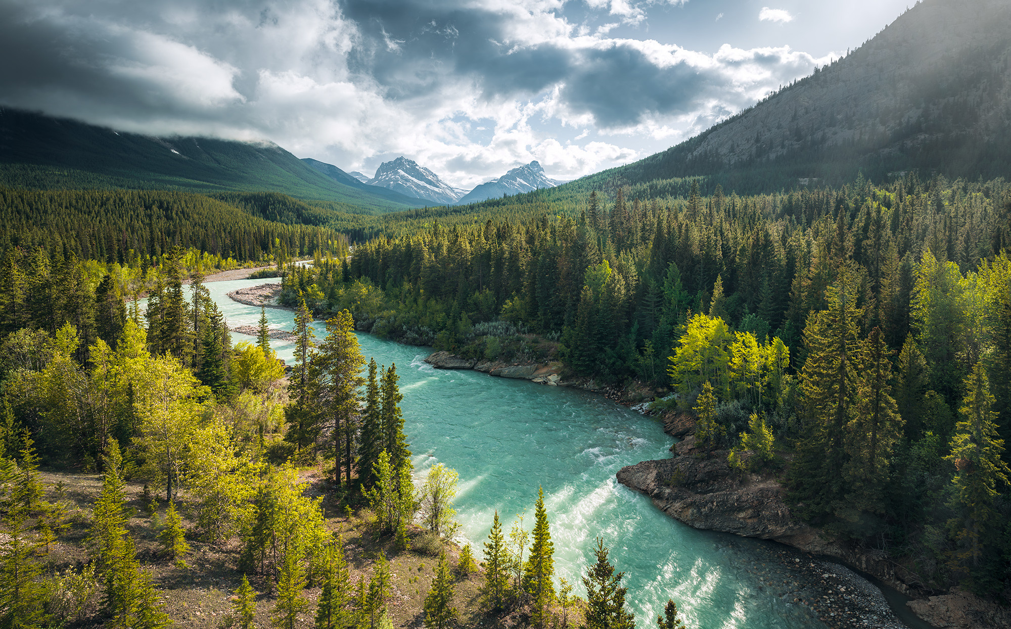 Wild Canada