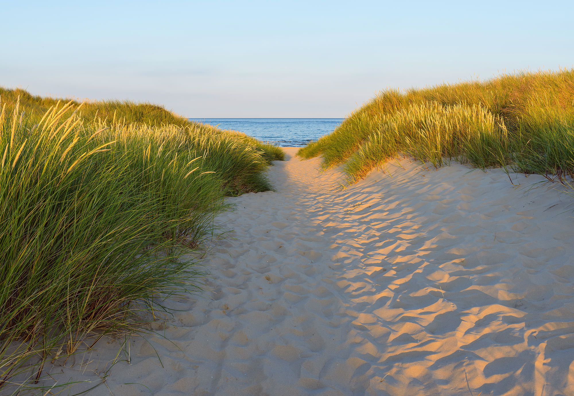Sandy Path
