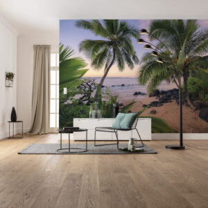 Hawaiian Dreams