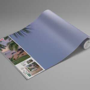 Hawaiian Dreams