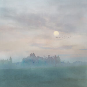 Hazy Hush