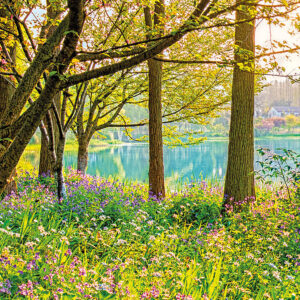 Spring Lake