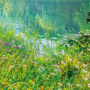 Spring Lake