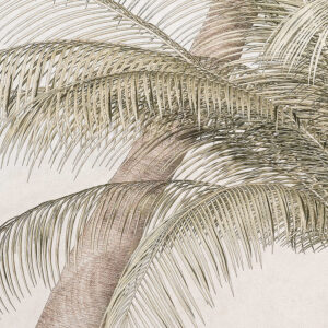 Palm Oasis