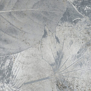 Flower Fossil