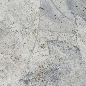 Flower Fossil
