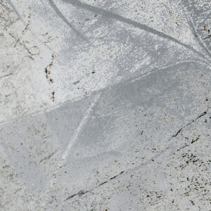 Flower Fossil