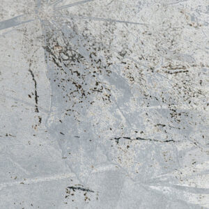 Flower Fossil