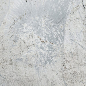 Flower Fossil