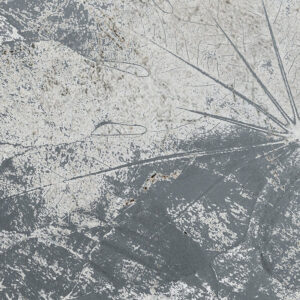 Flower Fossil