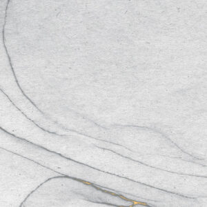 Ink Gold Fluid