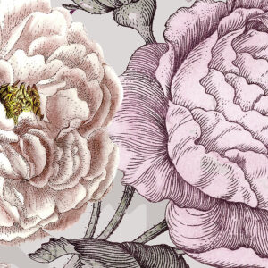 Lovely Blossoms