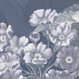 Merian Blue