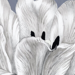 Merian Blue